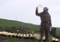 Обострение в Нагорном Карабахе: армяне отвечают Азербайджану из артиллерии
