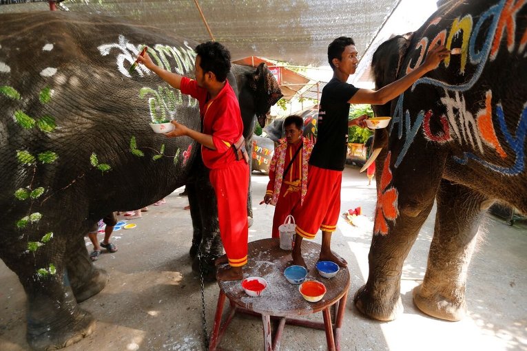 Праздник слонов в провинции Аюттхая в Таиланде