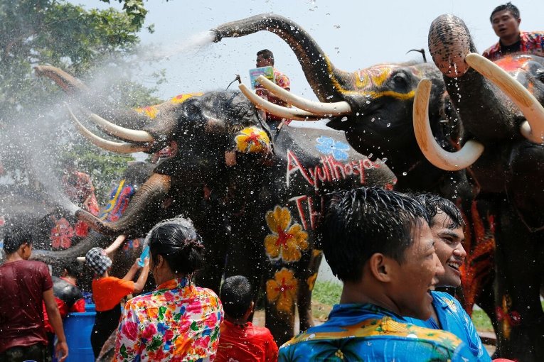 Праздник слонов в провинции Аюттхая в Таиланде