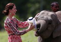 Герцогиня Кембриджская кормит слоненка в Центре реабилитации диких животных и охраны природы в Индии