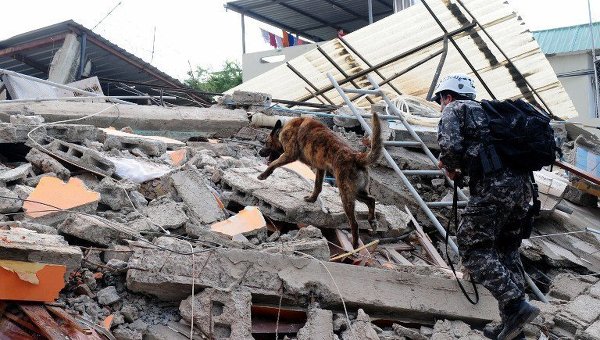 Спасатели  с помощью обученной собаки ищут пострадавших от масштабного землетрясения в Эквадоре.