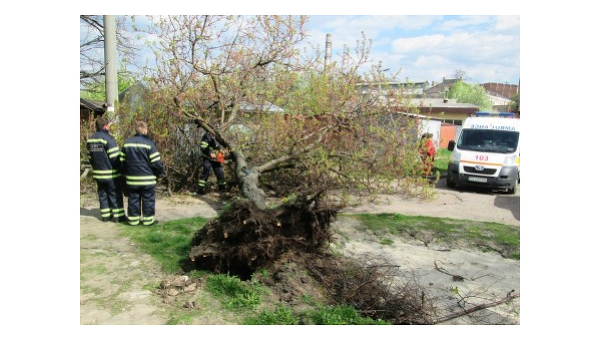 В Черкассах и Харькове ураганом вырывало деревья