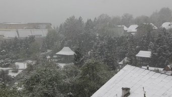 Львовскую область накрыл снегопад