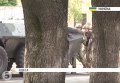 Антитеррористические учения в Одессе. Видео
