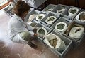 На стройке в Испании нашли 600 кг древнеримских монет