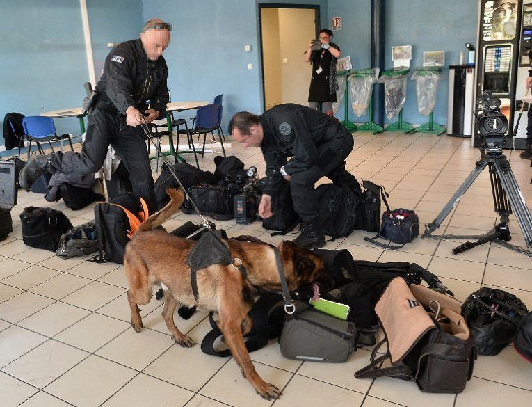 Полицейские и собака обыскивают технику и вещи журналистов перед пресс-конференцией президента Франции Франсуа Олланда