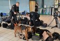 Полицейские и собака обыскивают технику и вещи журналистов перед пресс-конференцией президента Франции Франсуа Олланда