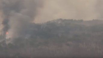 Борьба с лесными пожарами в Амурской области. Видео