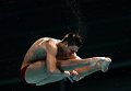 Украинский прыгун в воду Илья Кваша. Архивное фото