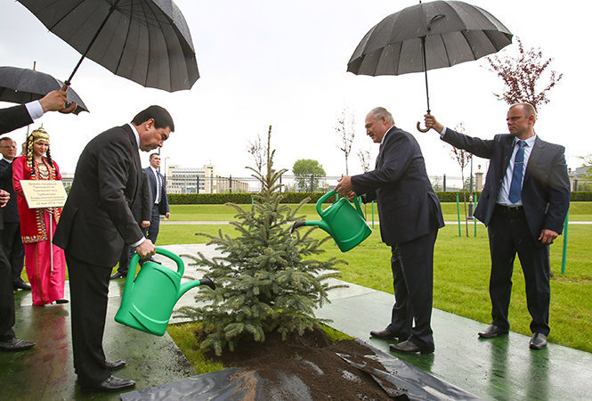Александр Лукашенко и Гурбангулы Бердымухамедов во время церемонии посадки дерева на Аллее почетных гостей у Дворца Независимости в Минске
