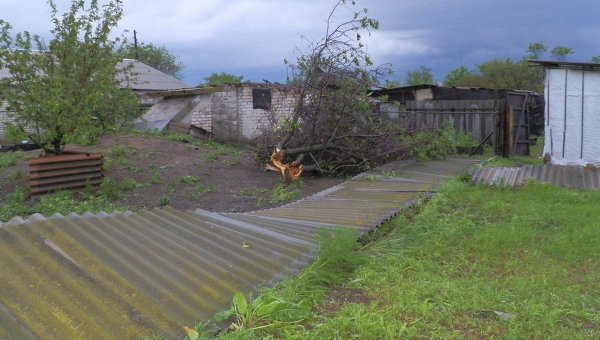 В Луганской области повреждены ураганом десятки домов, опоры ЛЭП