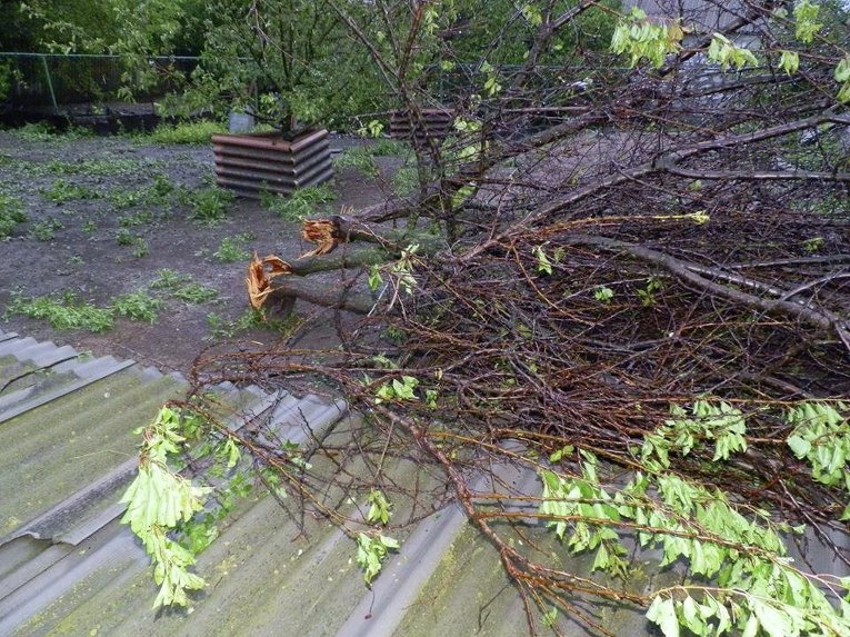 В Луганской области повреждены ураганом десятки домов, опоры ЛЭП