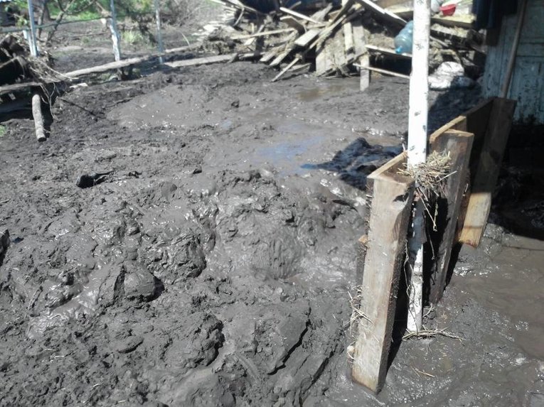 Под Днепропетровском грязевой поток уничтожил приют для животных