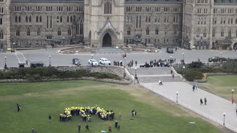Золотая тамга: флешмоб у парламента Канады в поддержку крымских татар. Видео