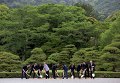 Посадка деревьев лидерами стран большой семерки в районе Исэ-Сима японской префектуры Миэ