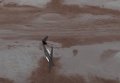 Украинский проект марсохода-попрыгунчика Mars Hopper. Видео