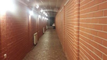 Под домом первого замглавы Николаевской обладминистрации Николая Романчука обнаружили сеть тоннелей с сокровищами
