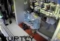 Обезьяна ограбила ювелирный магазин в Индии. Видео