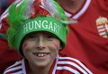 Венгерский болельщик перед началом матча группового этапа чемпионата Европы по футболу - 2016 между сборными командами Австрии и Венгрии