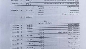 Документы из черной кассы Юлии Тимошенко, обнародованные журналистом Романом Бочкалой