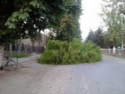 Ураган в Ивано-Франковске