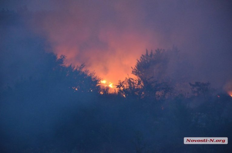 Пожар вспыхнул на городской свалке в Николаеве