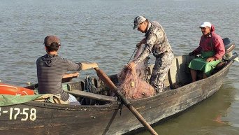 Нардепы работают в комитетах и с избирателями, а Ляшко ловит рыбу в Дунае. Видео