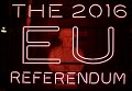 Референдум в Британии по сохранению членства в ЕС