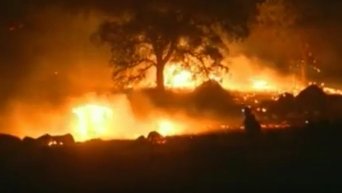В Калифорнии из-за пожаров уничтожены более 150 домов. Видео