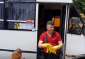 Эпидемия в Измаиле: как проходит дезинфекция общественного транспорта. Видео