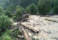 На Закарпатье селевой поток с Говерлы затопил села: кадры с места ЧП
