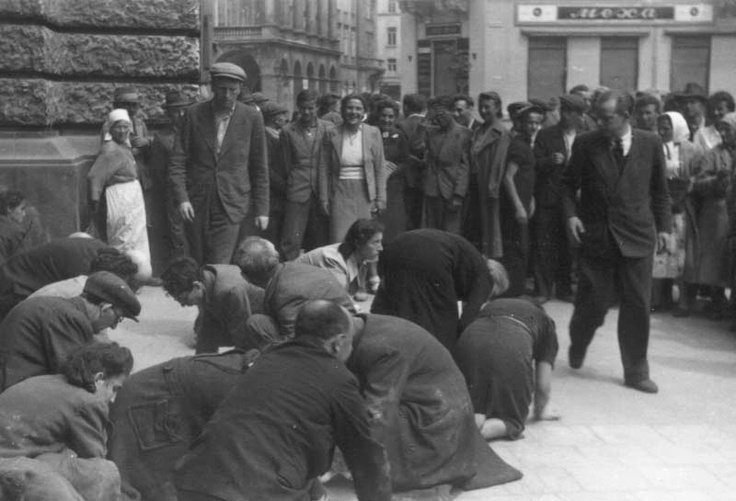 Львовский погром - еврейский погром во Львове в июле 1941 года