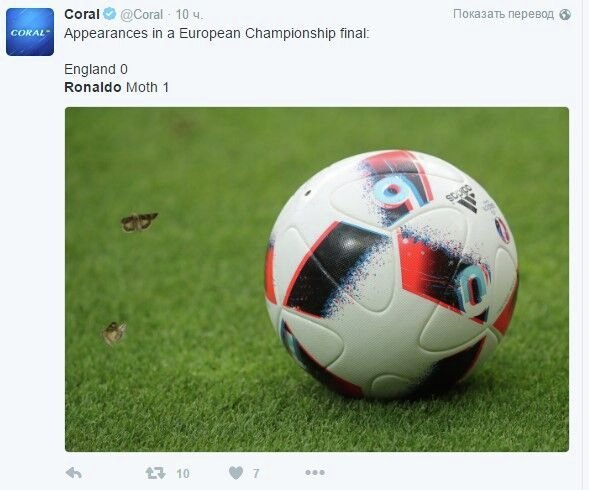 Роналду и мотылек в финале EURO-2016