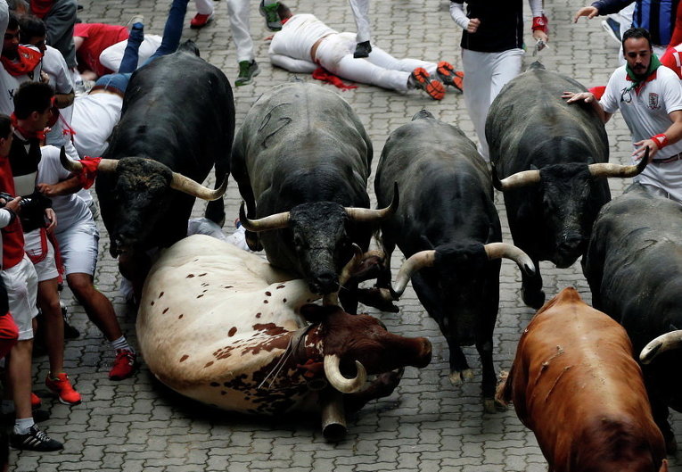 Забег быков на фестивале Сан-Фермин в Памплоне, Испания