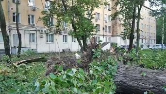 Последствия урагана в Москве. Видео