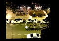 Жители Стамбула встретили танки в Стамбуле аплодисментами. Видео