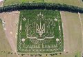 В Киеве открылся лабиринт из кукурузы