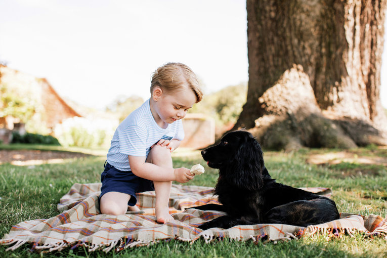 К третьему дню рождения британского принца Джорджа в сети появились новые фото ребенка.