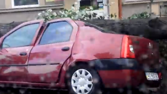Ураган в Ужгороде: поваленные деревья и поврежденные авто. Видео