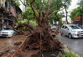 После тайфуна Миринае в Ханое, Вьетнам