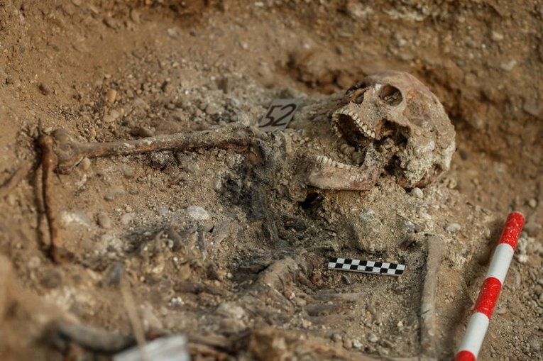 Человеческие останки, обнаруженные в ходе эксгумации из братской могиле, где были спогребены сотни людей во время испанской гражданской войны в Вальядолиде