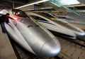 Мужчина осматривает сверхскоростные поезда новой высокоскоростной железной дороги, связывающей Шанхай и Ханчжоу