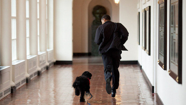 Игра Обамы с собакой.