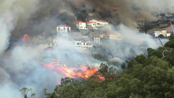 По меньшей мере три человека стали жертвами природных пожаров на португальском острове Мадейра в Атлантическом океане, заявил председатель регионального правительства Мадейры Мигель Альбукерке