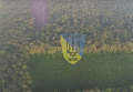 Массовая вырубка лесов в Винницкой области