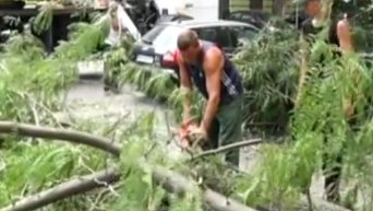 В центре Одессы дерево упало на четыре машины