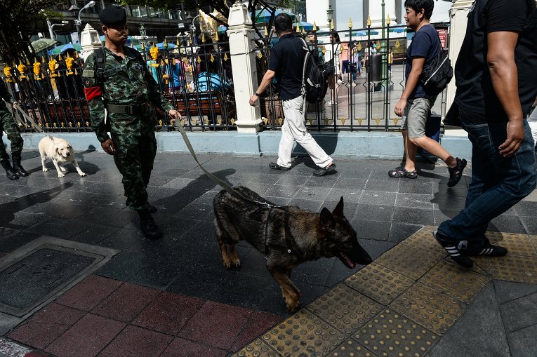 Тайский солдат с собакой на территории туристического курорта после серии терактов в Таиланде.