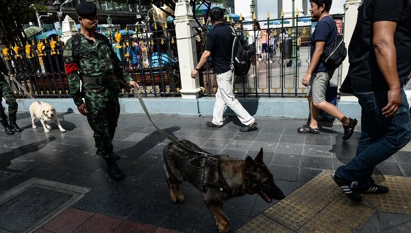 Тайский солдат с собакой на территории туристического курорта после серии терактов в Таиланде.