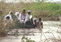 В результате наводнения в Судане погибли 100 человек. Видео