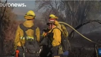 Калифорния: площадь лесного пожара сокращена на четверть